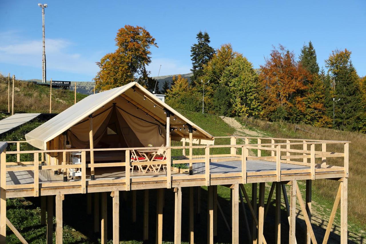 Glamping Буковель